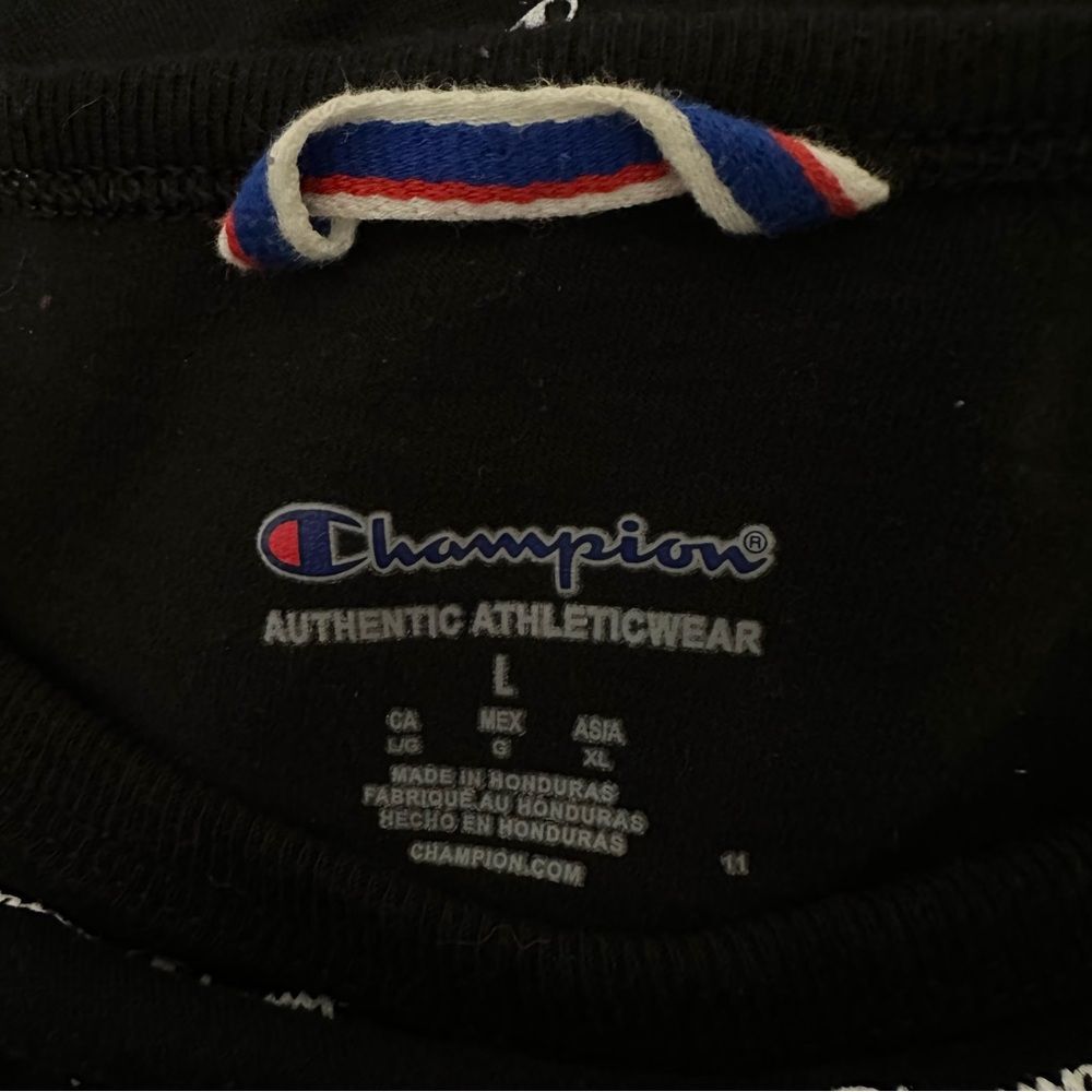 Champion Black Striped Men's T-Shirt - Picture 3 of 7